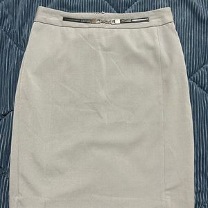 Metaphor Pencil Skirt